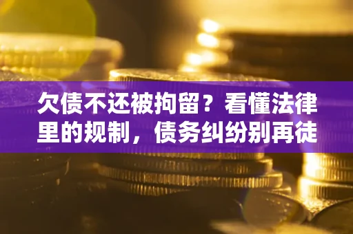 北京欠债不还被拘留？看懂法律里的规制，债务纠纷别再徒劳奔波