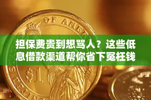 北京担保费贵到想骂人？这些低息借款渠道帮你省下冤枉钱